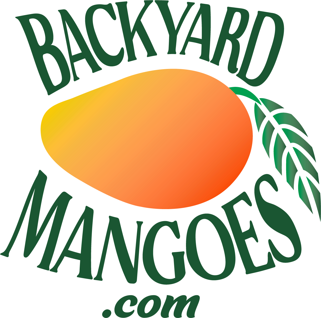 Backyard Mangoes