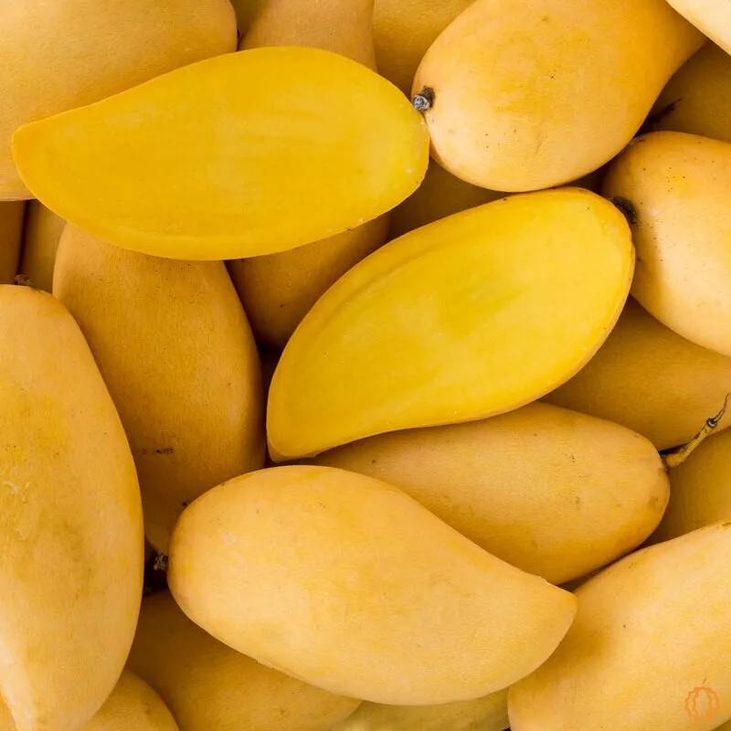 About Nam Doc Mai Mangoes